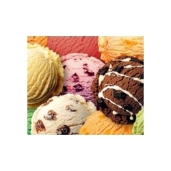 Magimix ice cream maker information