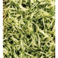 Magimix 2mm Slicer Disc - 2mm Grater Disc Le Mini 17262
